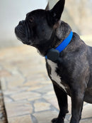 Capa Silicone para Coleira